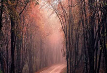 碧峰峡风景区怎么玩？这份超实用攻略带你解锁精彩之旅