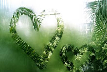 NBA火箭队今日有视频直播吗？赛程、平台及看点全解析